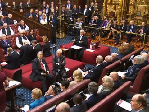 Baroness Walmsley Raises HDA’s Concerns In Brexit Debate.